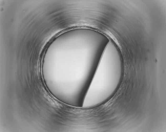 X0000087031076200704161355