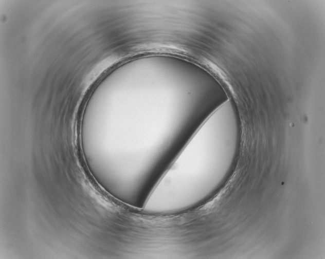 X0000087031082200704161355