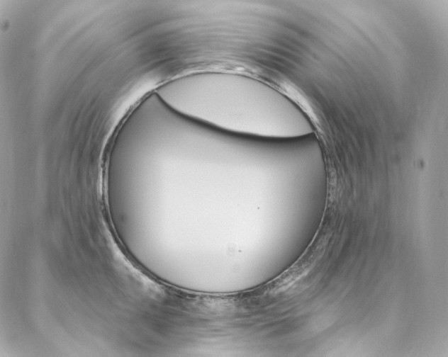 X0000087031095200704161354
