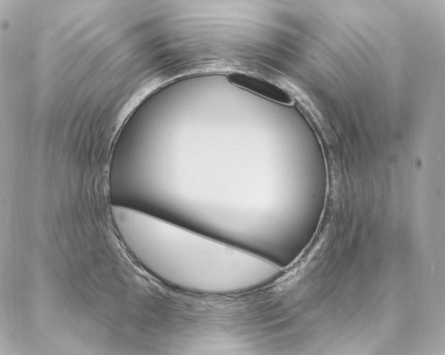 X0000087031097200704161354
