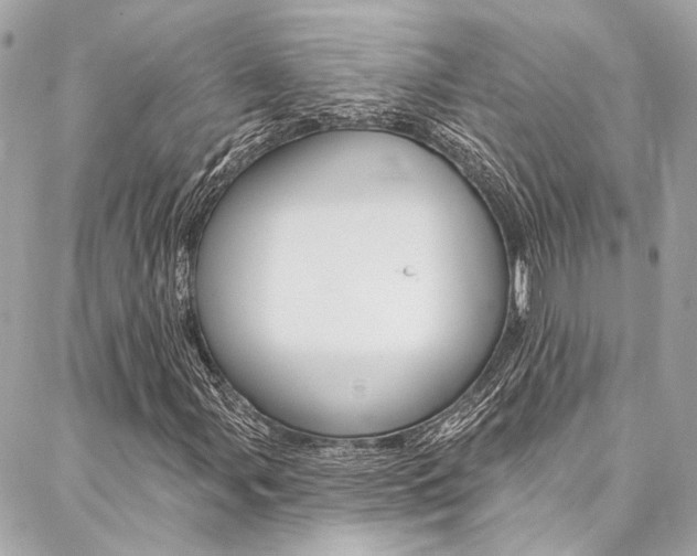 X0000087031107200704161354