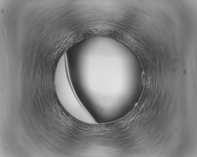X0000087031108200704161354