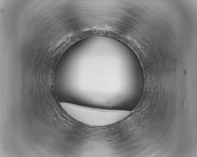 X0000087031110200704161354