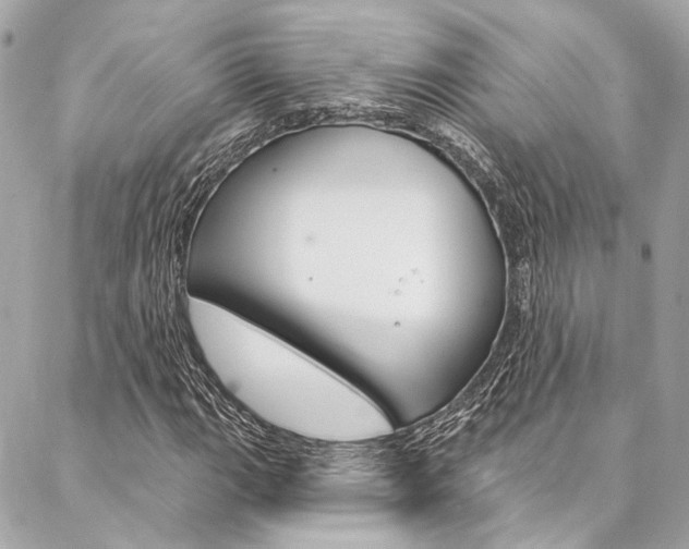 X0000087031111200704161354