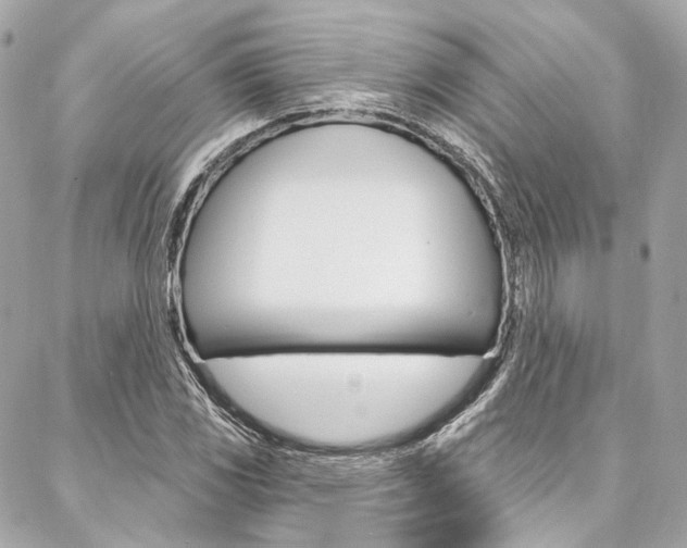 X0000087031117200704161354