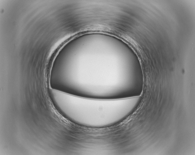 X0000087031120200704161354