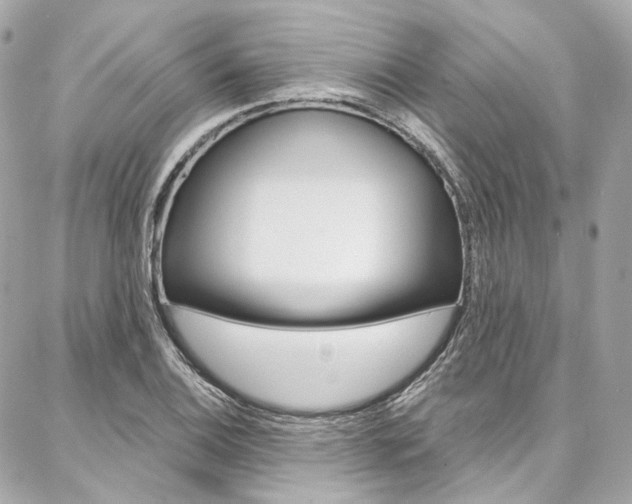 X0000087031124200704161354