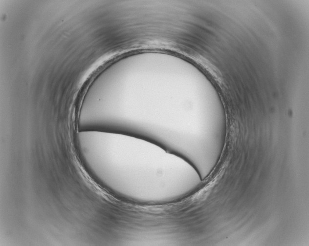 X0000087031126200704161354