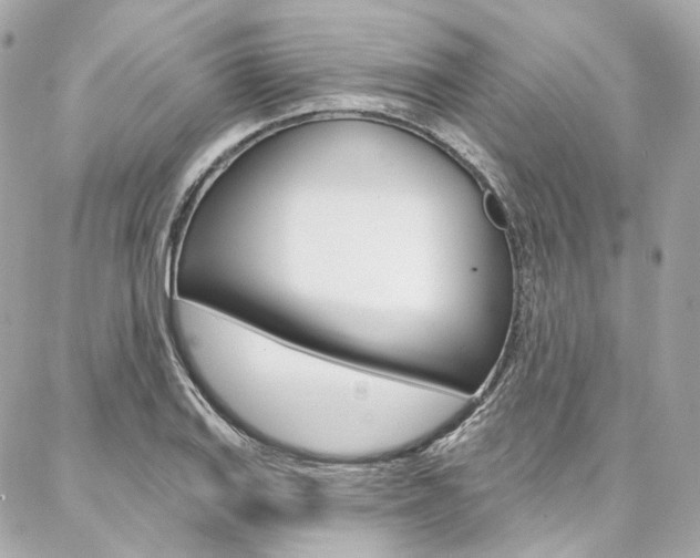 X0000087031127200704161354