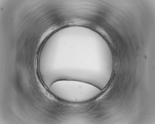 X0000087031130200704161354
