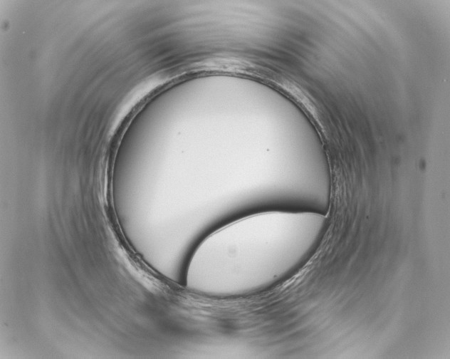 X0000087031131200704161354