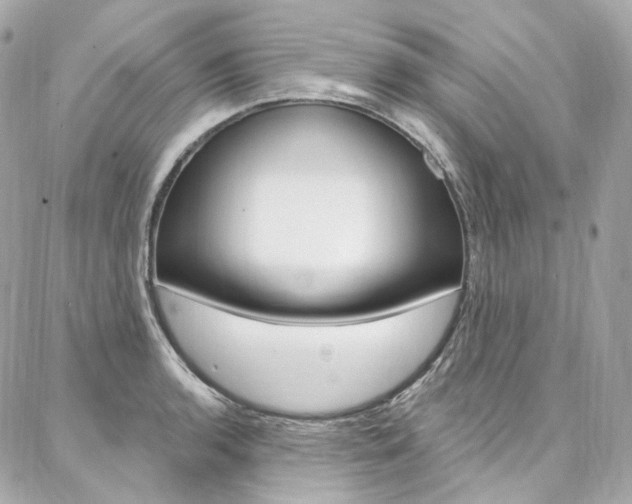 X0000087031136200704161354