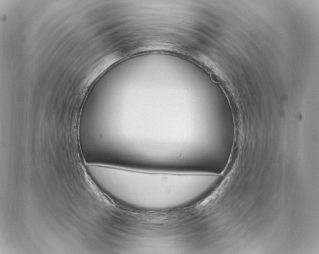 X0000087031137200704161354