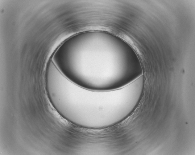 X0000087031140200704161354