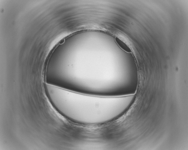X0000087031141200704161354