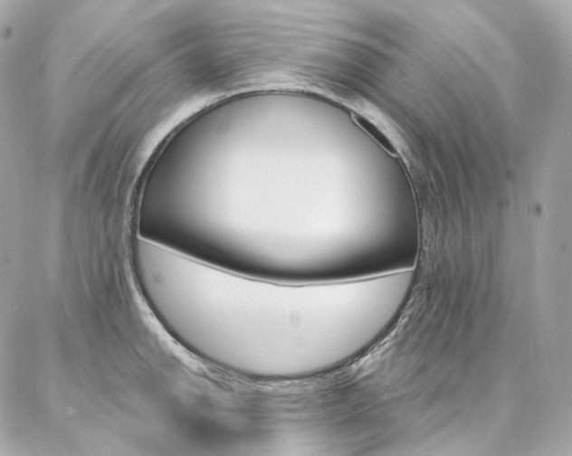 X0000087031142200704161354