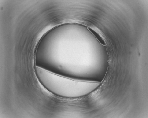 X0000087031143200704161354