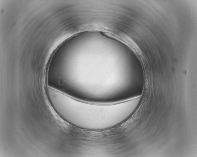 X0000087031144200704161354
