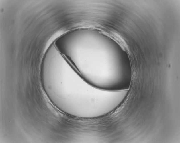 X0000087031146200704161354