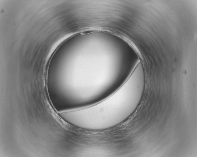X0000087031148200704161354