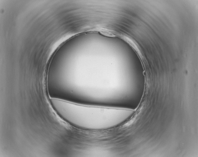 X0000087031149200704161354