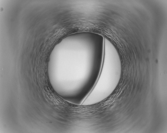 X0000087031153200704161354