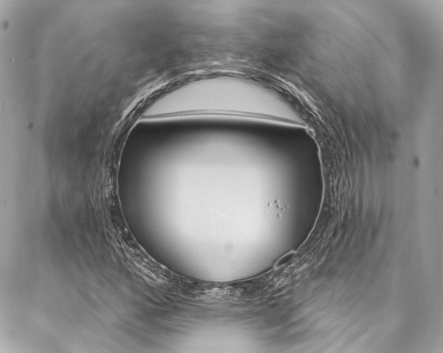 X0000087031160200704161353