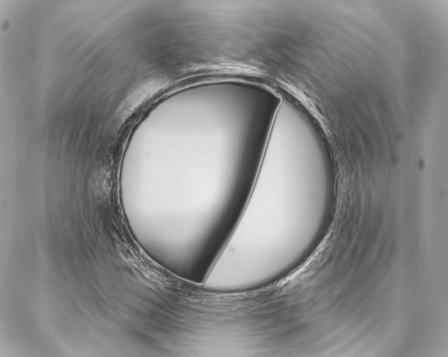 X0000087031163200704161353