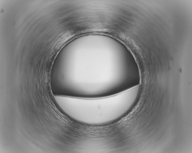 X0000087031169200704161353