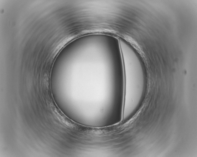 X0000087031177200704161353