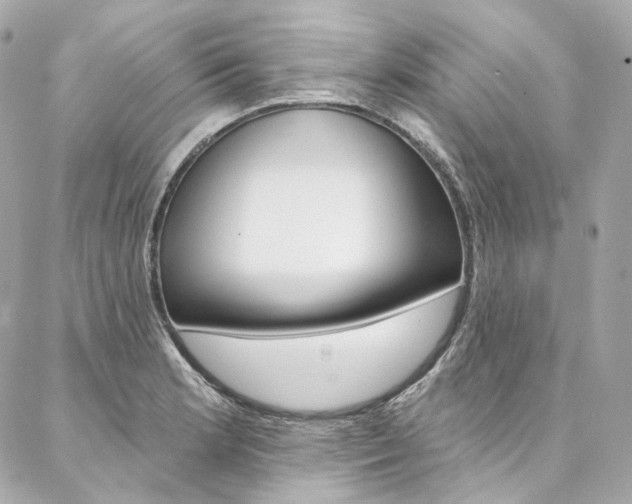 X0000087031181200704161353