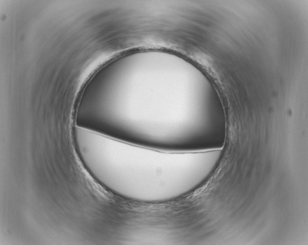 X0000087031183200704161353