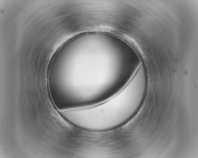 X0000087031184200704161353