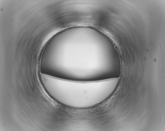 X0000087031187200704161353