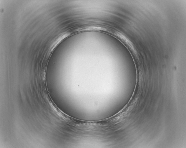 X0000087031193200704161353