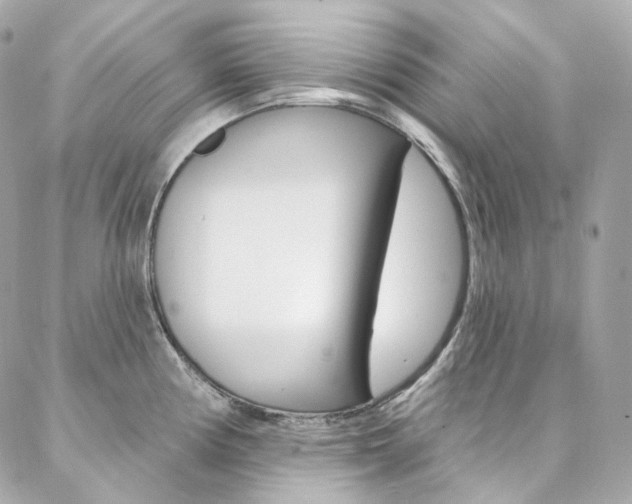 X0000087031194200704161353
