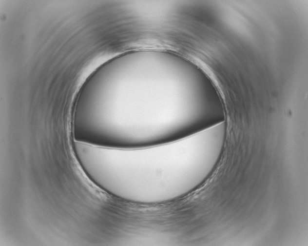 X0000087031195200704161353