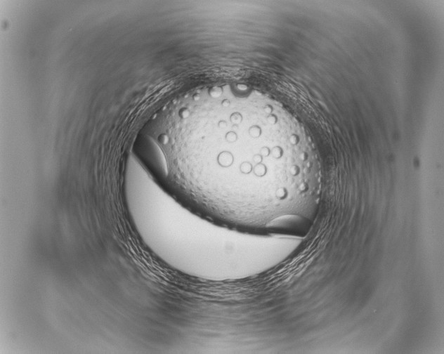 X0000087031201200704161352