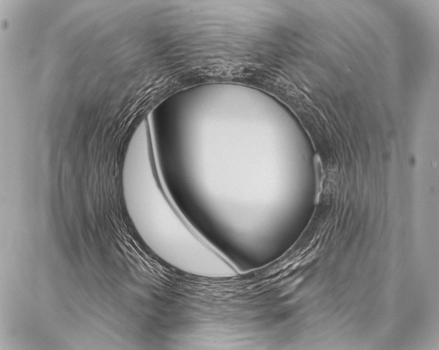 X0000087031202200704161352