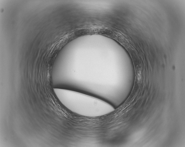 X0000087031204200704161352