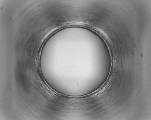 X0000087031212200704161352