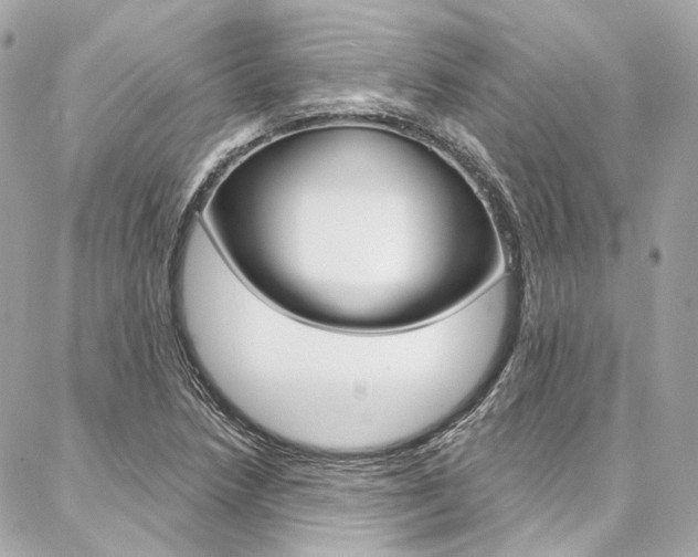 X0000087031218200704161352