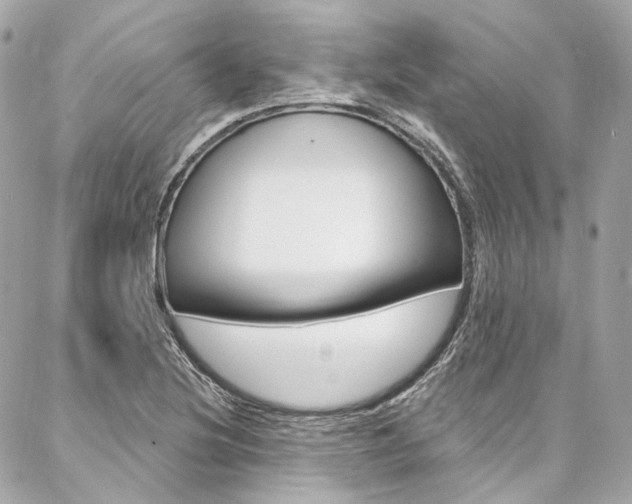 X0000087031220200704161352