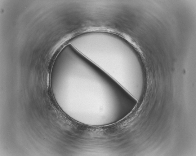 X0000087031221200704161352