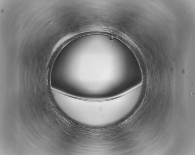 X0000087031222200704161352
