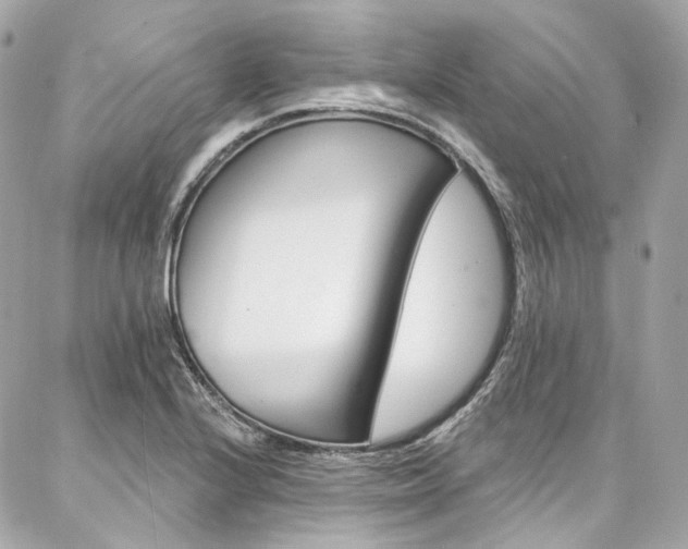 X0000087031224200704161352