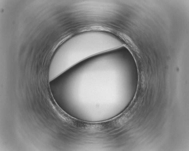 X0000087031225200704161352