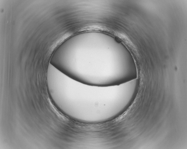 X0000087031233200704161352