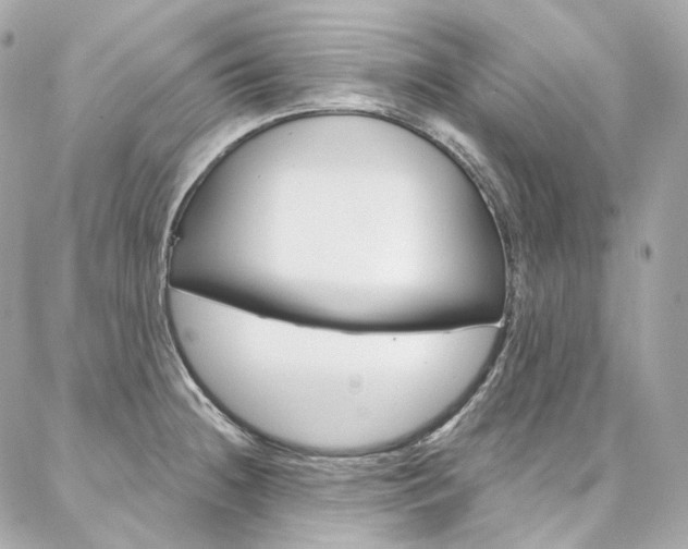 X0000087031236200704161353