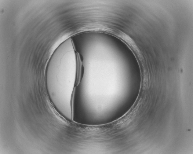 X0000087031242200704161353